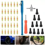 Rehviparanduse ja ventiilide eemaldamise komplekt TSX TOOL 43 tk