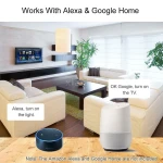 Sonoff 4CH Pro R3 WiFi lüliti 4 kanaliga nutikoduks, ühilduv Alexa ja Google Home'iga